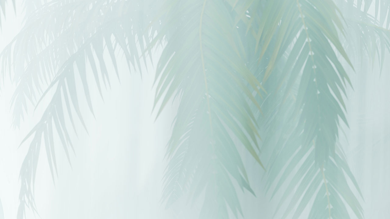 Palm leaves background